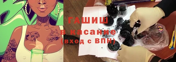 стаф Балахна