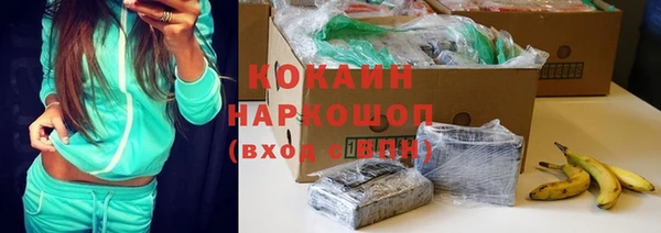 стаф Балахна