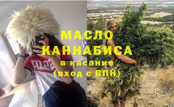 mdpv Инсар