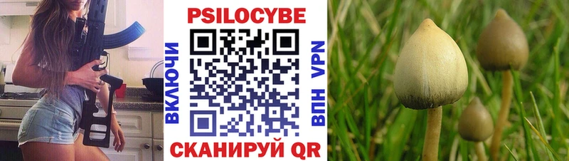 Псилоцибиновые грибы GOLDEN TEACHER  Среднеуральск 